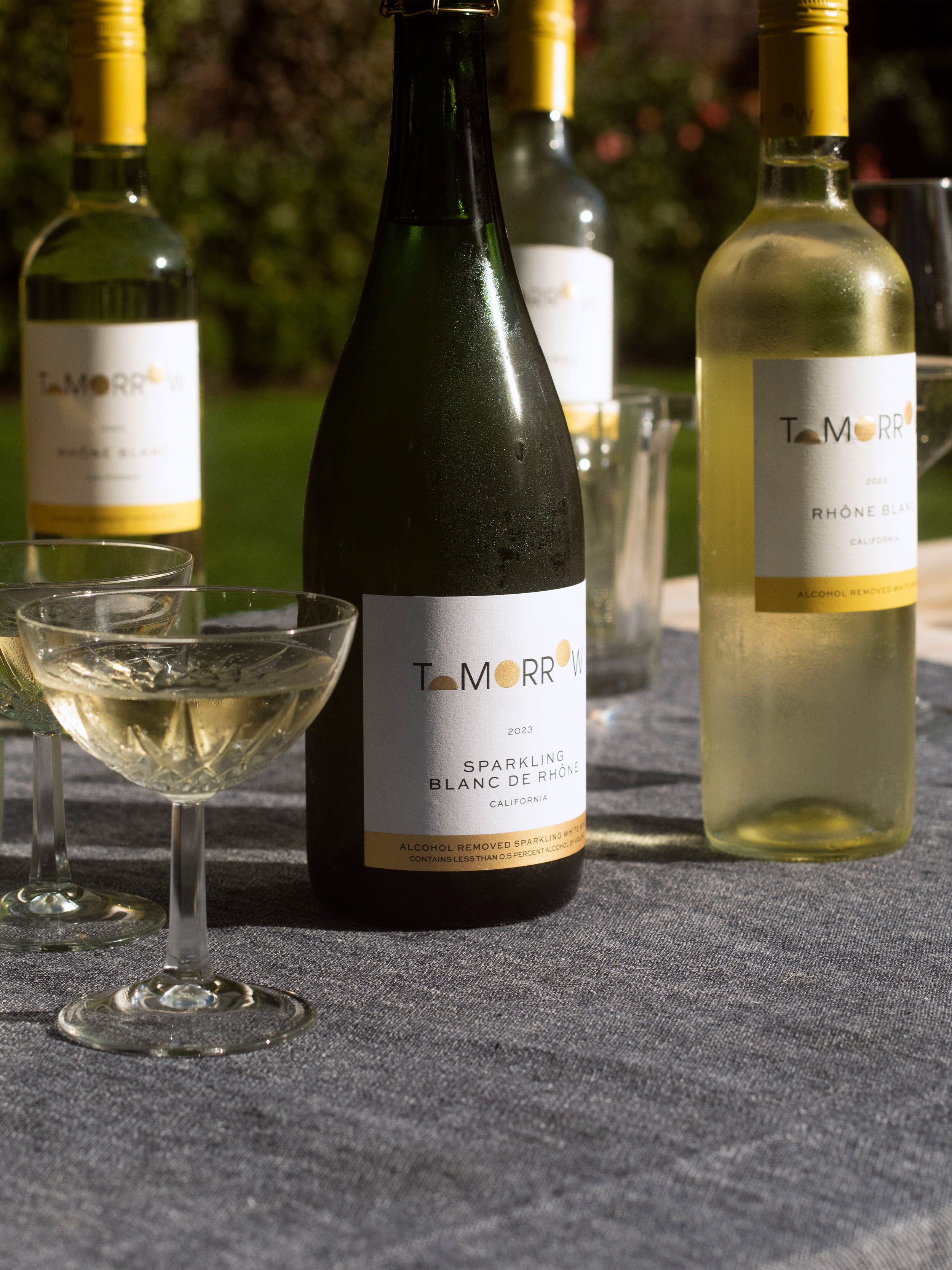 Tomorrow Cellars Sharing Sampler