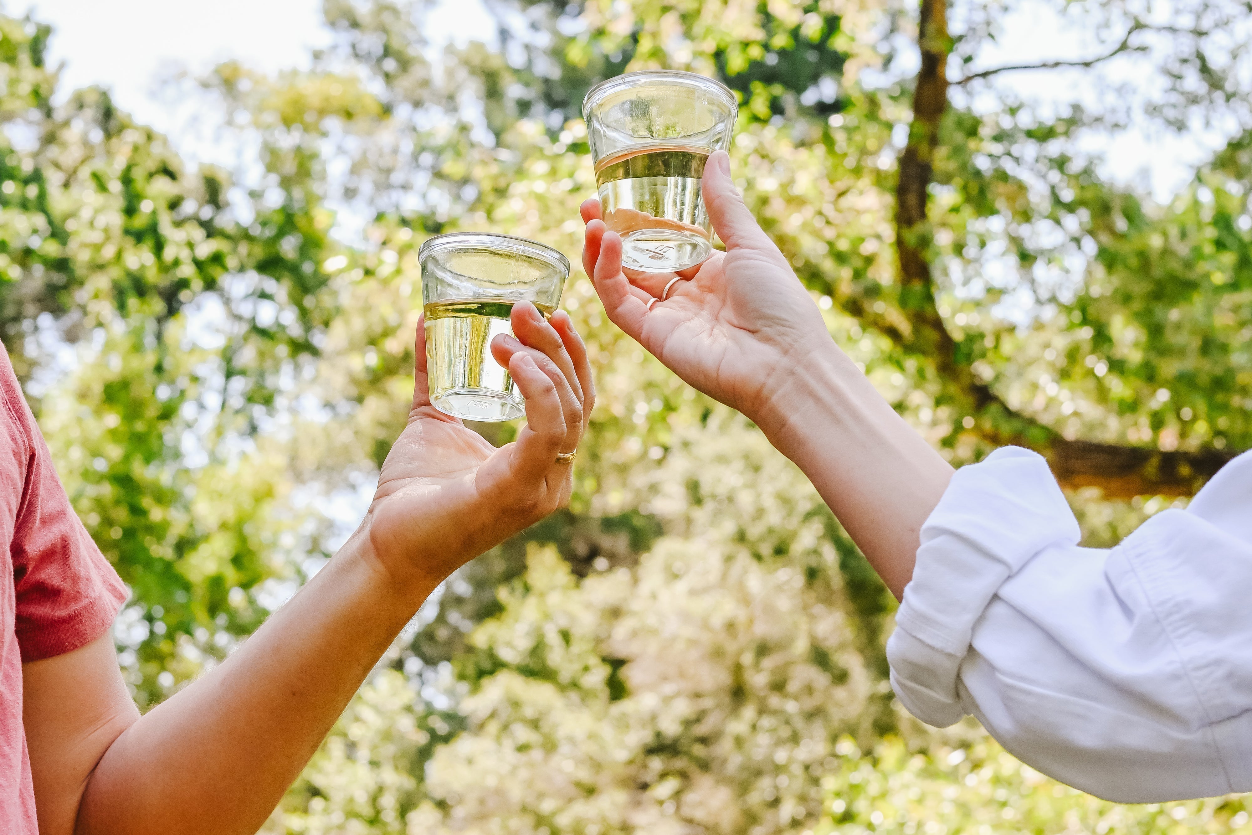 What’s in Your Glass? Understanding Wine Labels and Tomorrow Cellars’ Transparent Approach