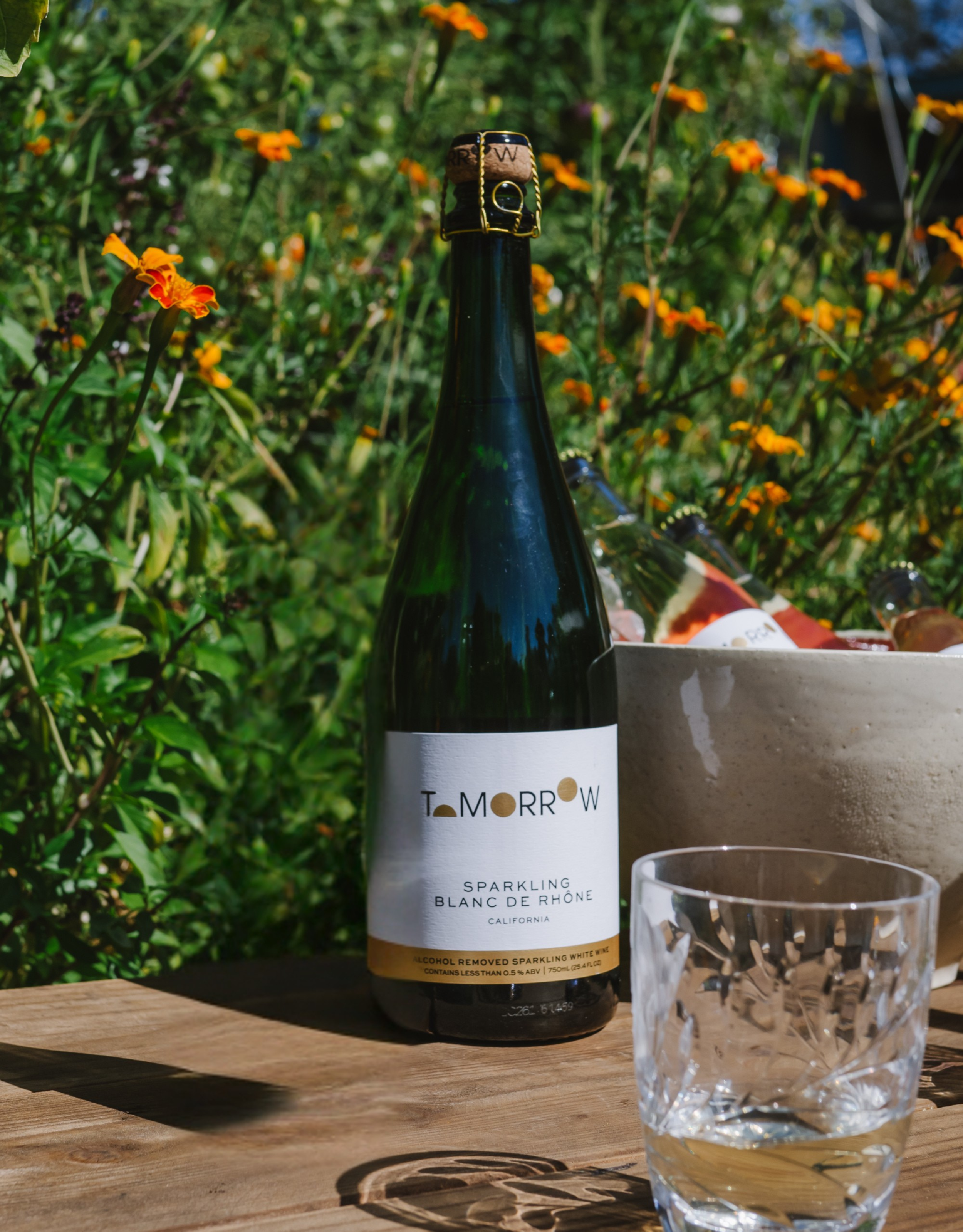 Tomorrow Sparkling Blanc de Rhône