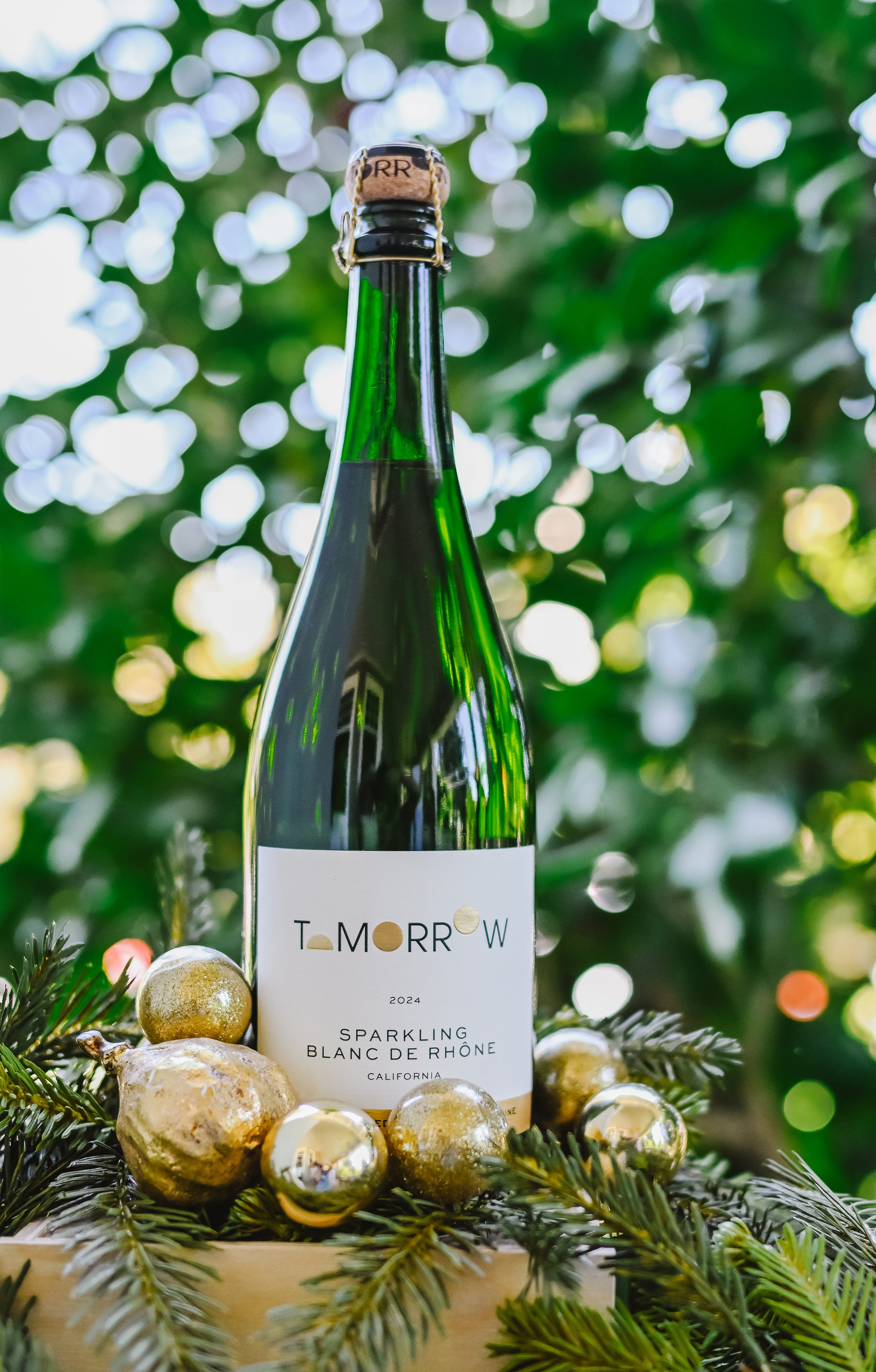Tomorrow 2024 Sparkling Blanc de Rhône