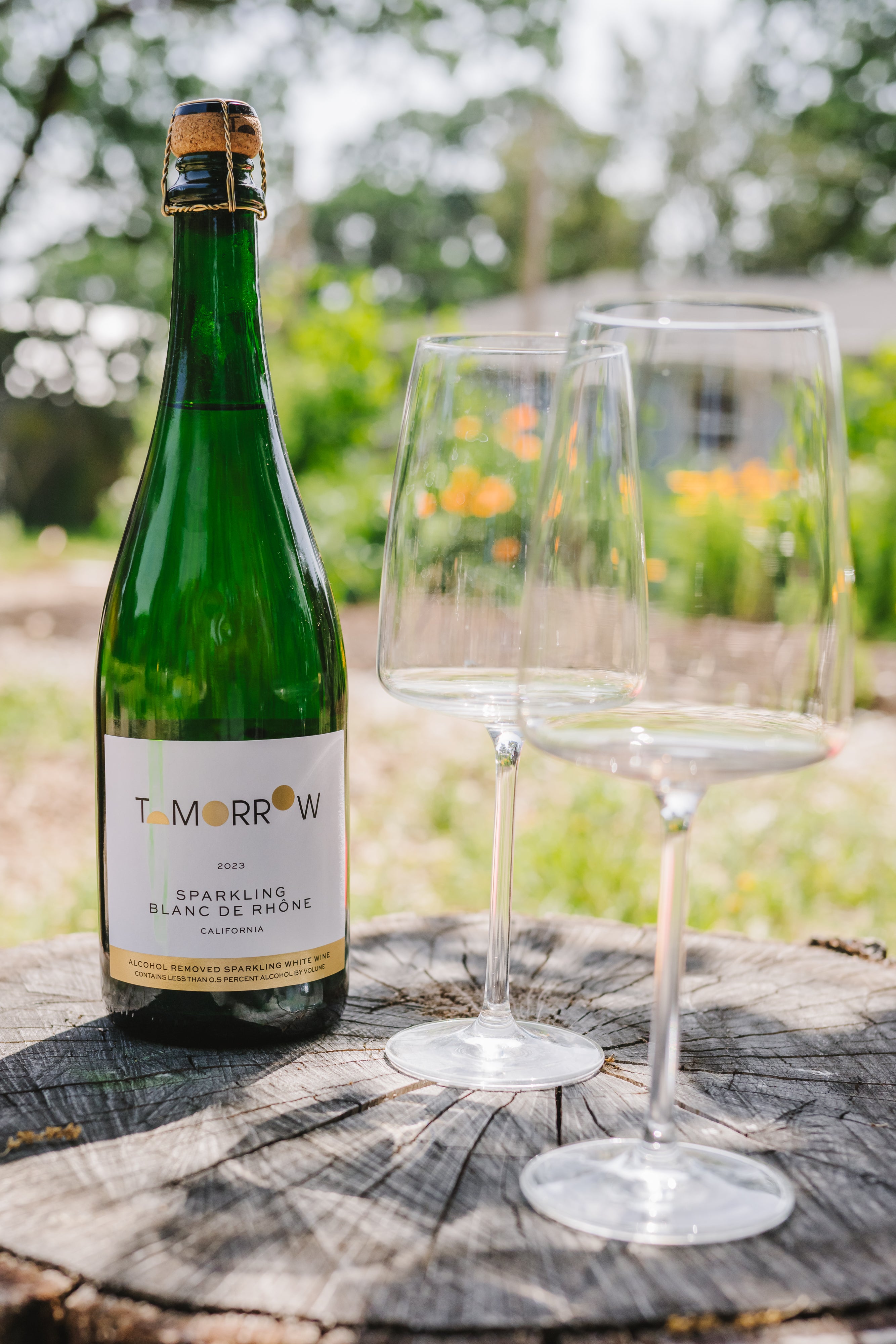 Tomorrow 2024 Sparkling Blanc de Rhône