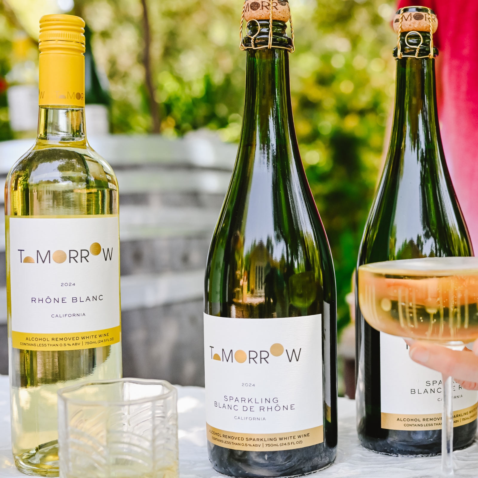 Tomorrow Cellars Sharing Sampler